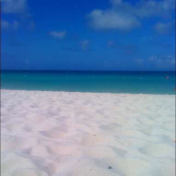 arubalover191